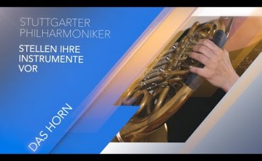 Horn